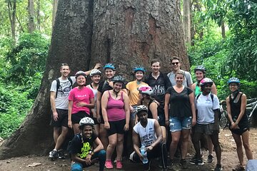 Moshi City and Rau Forest Walking Tour