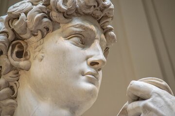 David & Accademia Gallery Florence Private Tour with Local Guide