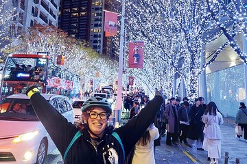 Tokyo Winter Illumination Ebike Tour