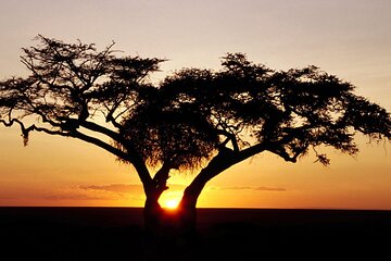 2 Days Hluhluwe Imfolozi Safari Tour