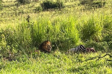 2 Days Akagera Game Drive with overnight to a Safari Resort