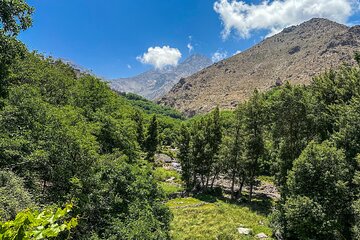 Atlas Mountains Ourika valley tour with Lunch included