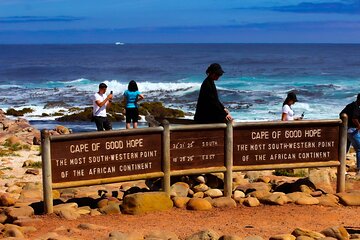 Cape of Good Hope and Penguins Half Day Tour 