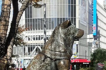 Hachikō, Hachi, Tale of a Faithful Dog, Mystery Tour 