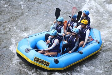  Bali Water Rafting and Bali Swing - All Inclusive