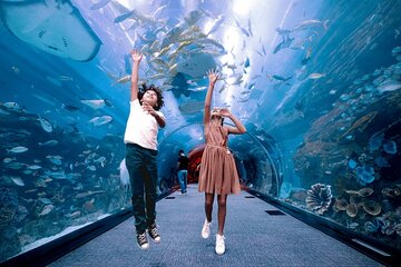 Dubai Aquarium and Penguin Cove with Transfers Option