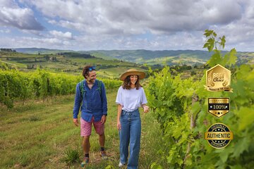 Hiking Tuscany & Chianti Wine - 3 Organic Wineries with lunch