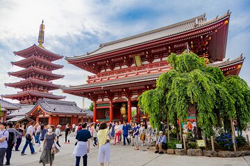 Tokyo Private Sightseeing Tour by Car - English speaking driver