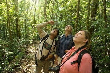 Rainforest and Traditional Crops of Costa Rica Tour