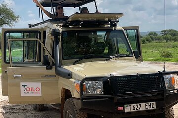 4 Days Group Tour Tarangire Serengeti Ngorongoro