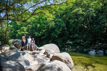 Daintree Rainforest and Cape Tribulation Day Tour from Cairns