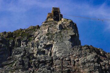 Table Mountain and Cape Peninsula Tour with Penguins 