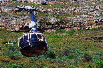 Cape Town Table Mountain and Peninsula Tour