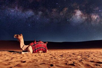 Doha Night Desert Safari Stargazing Camel Ride and Dune Bashing