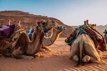 Private Sunrise Desert Safari