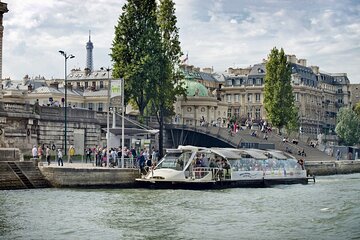 Paris: Batobus Hop-On Hop-Off Cruise & Landmarks Audio Tour