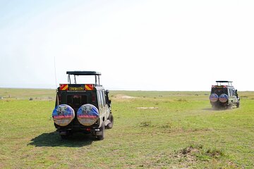 3 Day Masai Mara Budget Joining Safari on 4×4 - Daily Departures