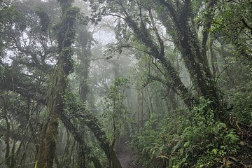 2-Day Antigua Tour 1 Night at Acatenango Volcano