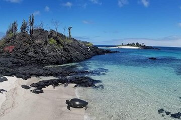 Day Tour to Floreana Island with Highland Tour and Snorkeling