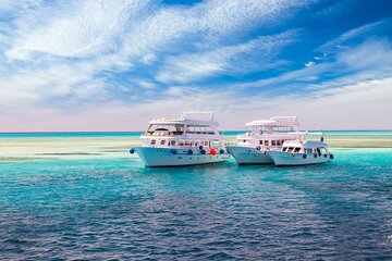 Dolphin House Samadai Reef Boat Snorkelling Trip from Marsa Alam