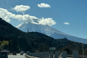 Private Tour to Mt Fuji and Hakone with English speaking Driver