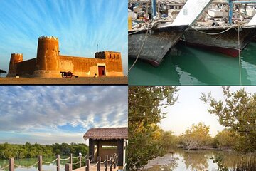 Doha Private North Tour Zubara Fort Purple Island & Mangrove