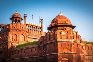 Old and New Delhi Private Day Tour with Options