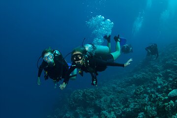 Intro Scuba Diving for Beginners With Lunch in Marsa Alam