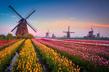 Private transfer: Amsterdam to Kinderdijk, 2h stop De Haar Castle