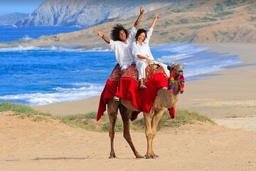 Camel Adventure with Lunch & Tasting