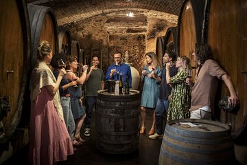 Alsace Wine Tour Small Group Tour from Strasbourg