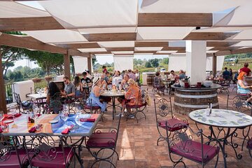  Pompeii Excavations with Lunch in the Vineyard Private Tour