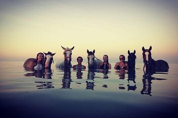 Horse Riding Tour in Hurghada – 3Hours Desert & Sea with Transfer