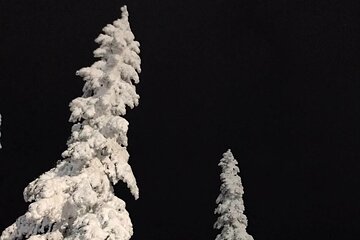North Vancouver Evening Snowshoe Tour with Local Guide