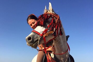 Private Horse Riding Tour in Luxor West Bank