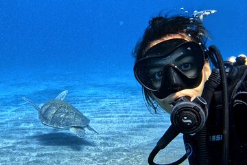Open Water Diving Course in Tenerife 