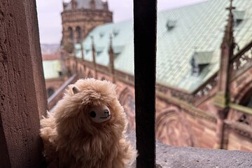 Alsace: Colmar, Villages & Castle Private Guided Full Day Tour
