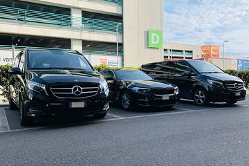 Trieste city to Venice, piazzale Roma - Arrival Private Transfer