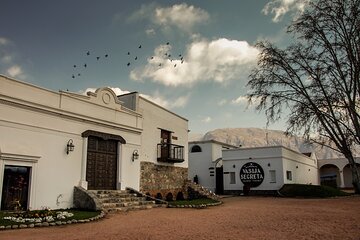 Salta, Cafayate Wine Experience - 3 Full Days! Private