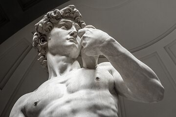 Accademia and Michelangelo's David Skip the Line Express Tour
