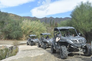 1 Hour Buggy Safari Experience in the Mountains of Mijas with Guide