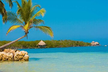 Tour to Múcura and Tintipán with breakfast, lunch and pick-up
