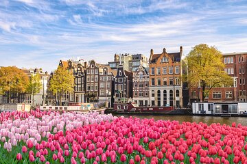 Private transfer from Paris to Amsterdam, English speaking driver