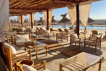 Agafay Desert Quad & Camel Rides, Ourika Valley & Dinner Show