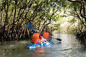 Bali: Mangrove Kayaking, GWK Park, Uluwatu Kecak fire Dance