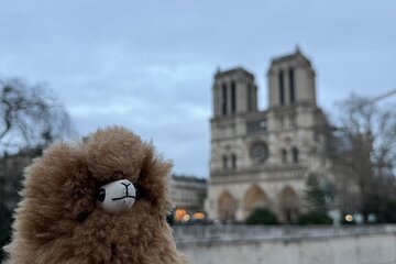Paris Private Guided Walking Tour with Notre-Dame Outdoor
