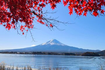 Mount Fuji and Lake Kawaguchi Private Day Trip From Tokyo