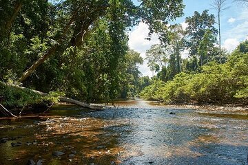 2D1N Taman Negara Explorer Tour from Kuala Lumpur
