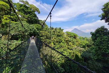 Mistico Hanging Bridges With Transportation and Naturalist Guide