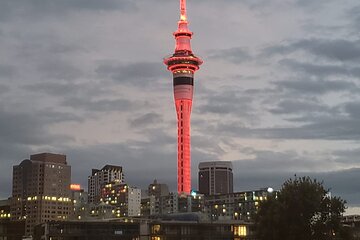 Auckland City Halfday Tour 